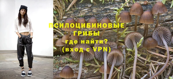 дмт Гусь-Хрустальный