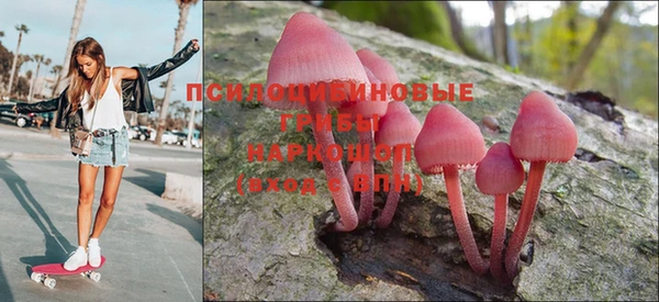 дмт Гусь-Хрустальный