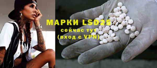 гидропоника Гусиноозёрск