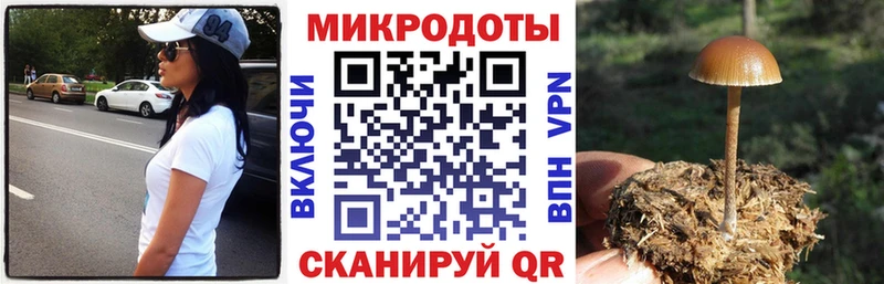 Псилоцибиновые грибы GOLDEN TEACHER  Дорогобуж 